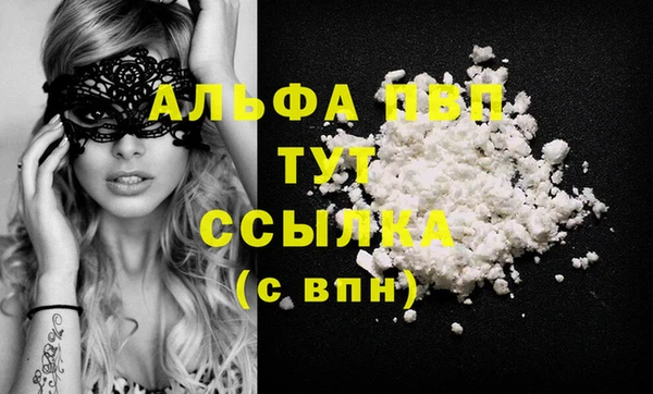 винт Няндома