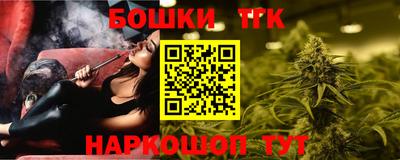 Альфа ПВП Гатчина