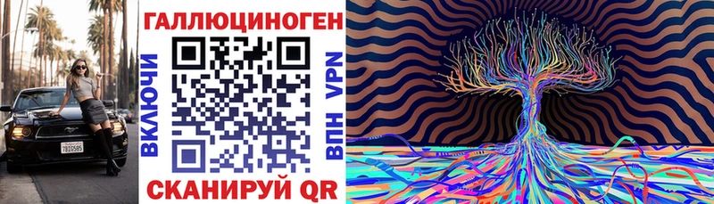 Псилоцибиновые грибы GOLDEN TEACHER блэк спрут зеркало Губаха