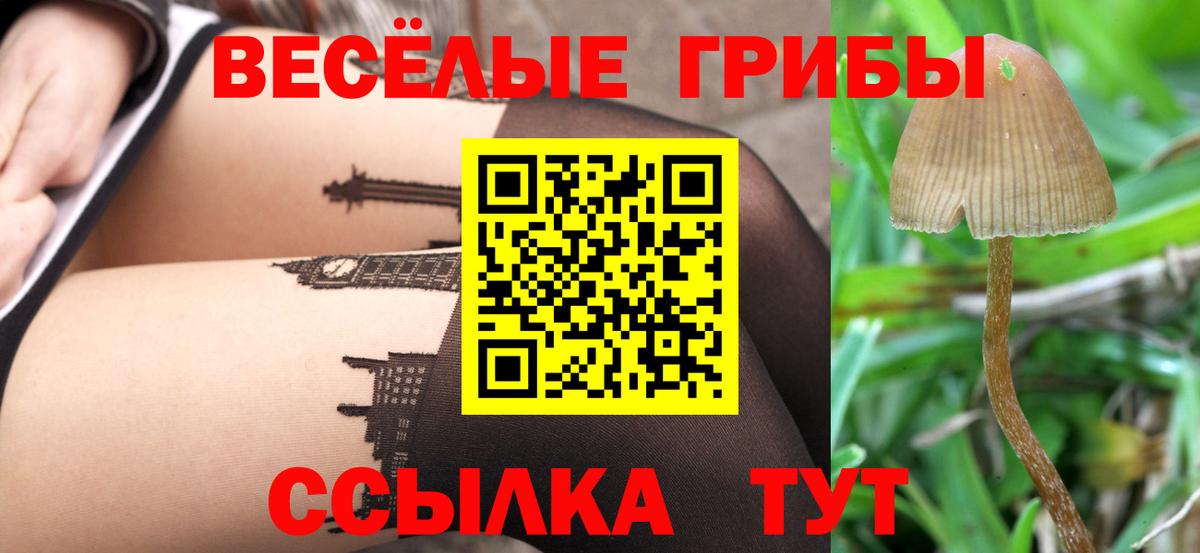 Галлюциногенные грибы GOLDEN TEACHER  Губаха  Галлюциногенные грибы мицелий 