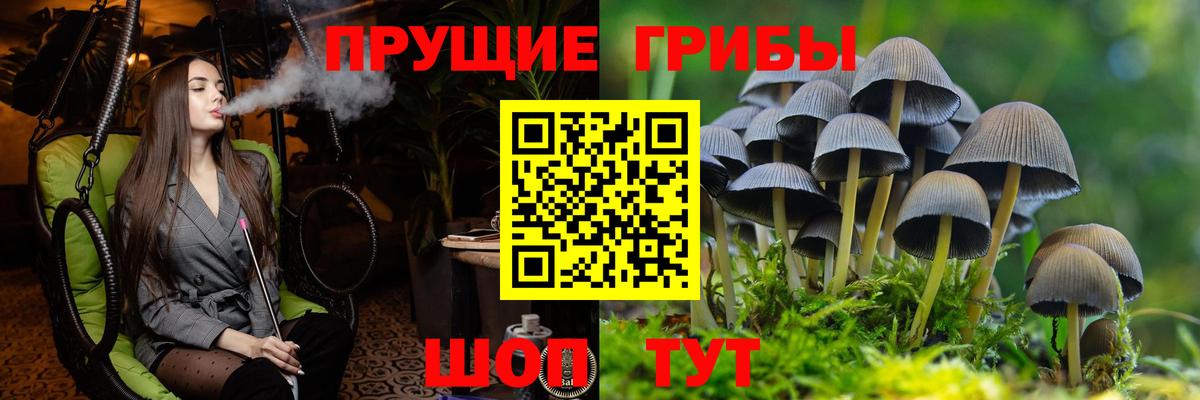Губаха  Псилоцибиновые грибы MAGIC MUSHROOMS  Вход с VPN  закладка  Псилоцибиновые грибы Psilocybine cubensis 
