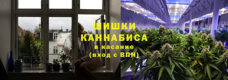 наркота  Губаха  Шишки марихуана SATIVA & INDICA 